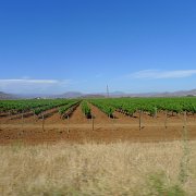 Baja2011 1083 : Baja2011